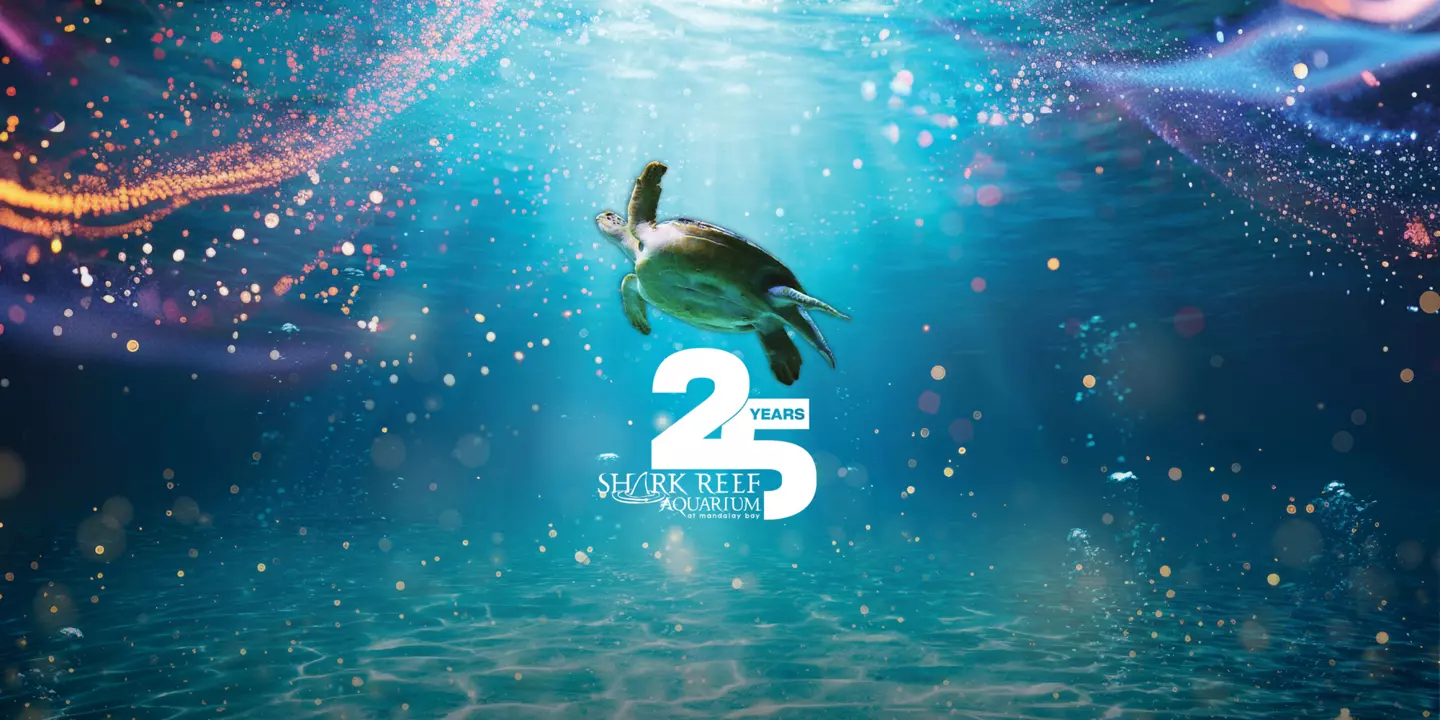 샤프 리프 아쿠아리움 Shark Reef Aquarium Timed-Entry V2