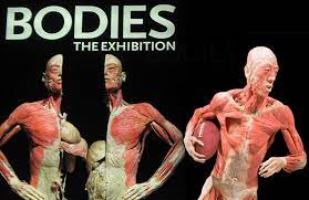 바디스.. 전시회 Bodies... The Exhibition